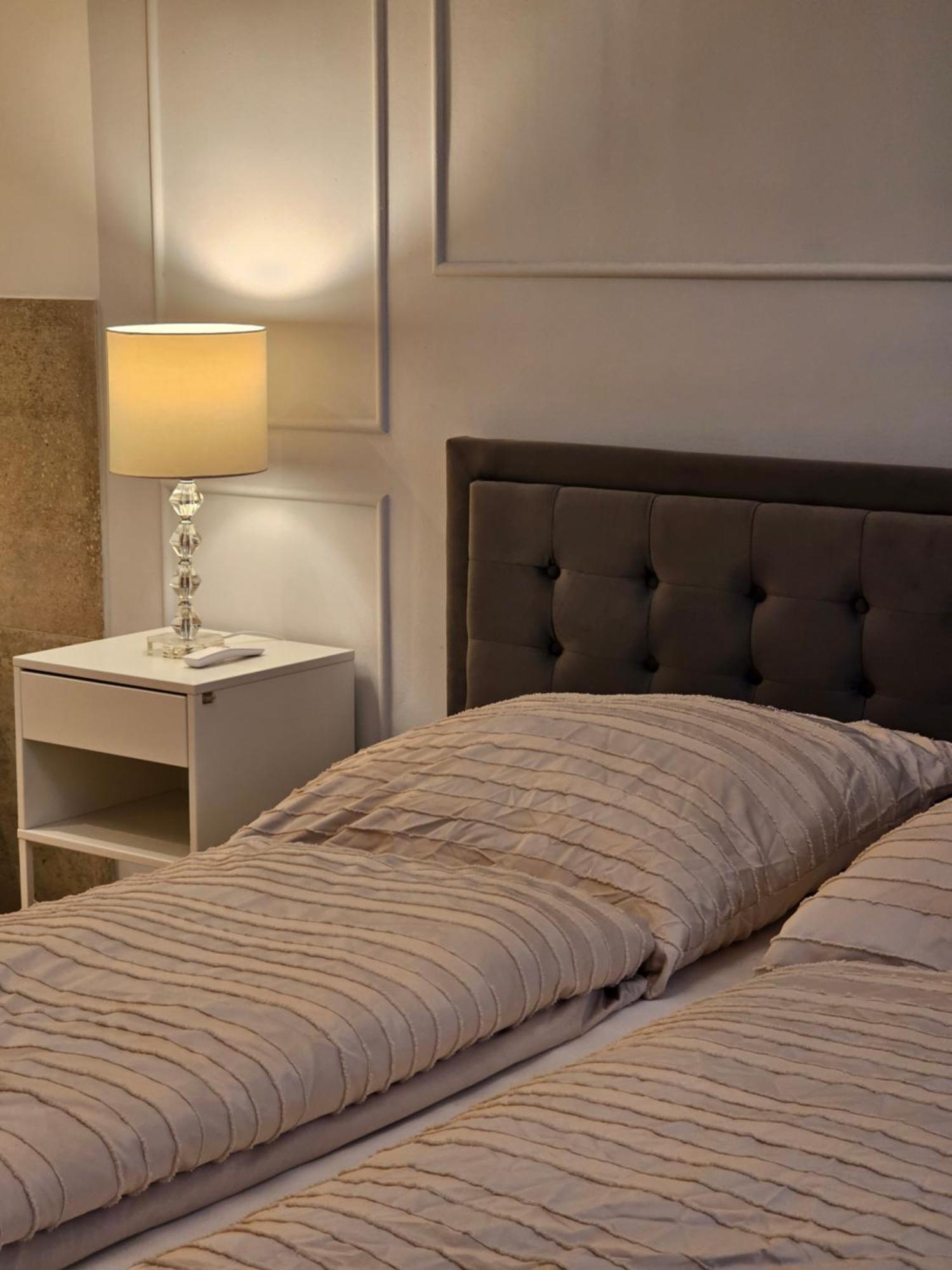 Appartement Luxury With Sauna In Center Vienne